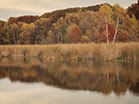 Fall Colors Water Reflections