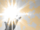Reach For The Light