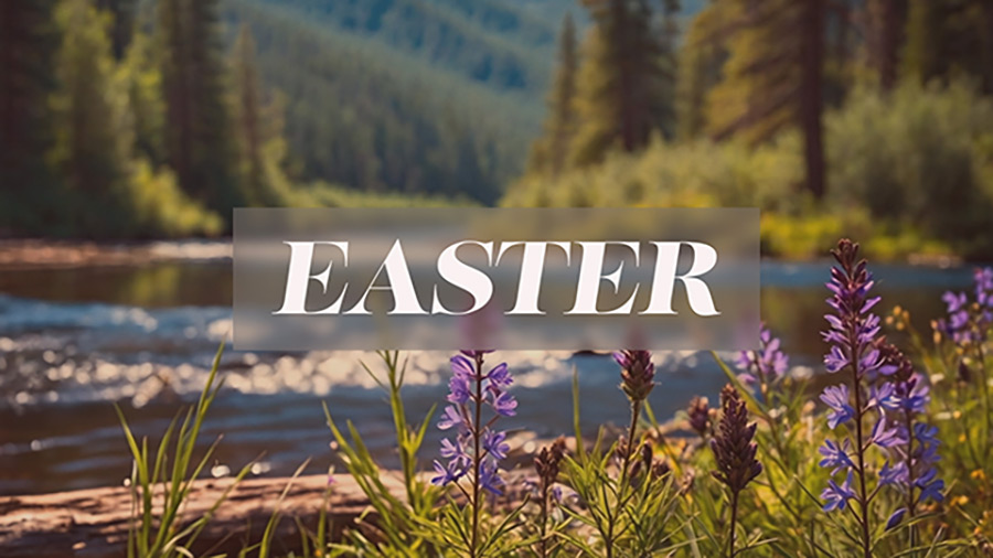 spring-creek-easter