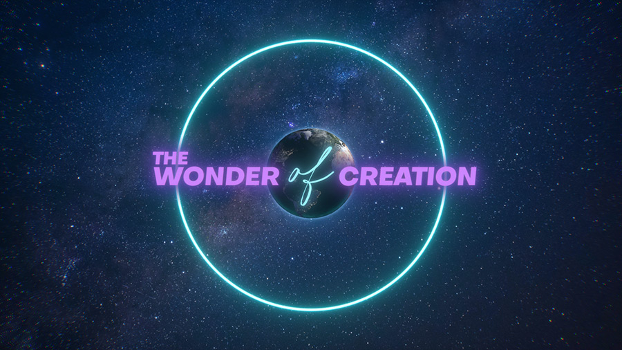 The Wonder of Creation Mini-Movie