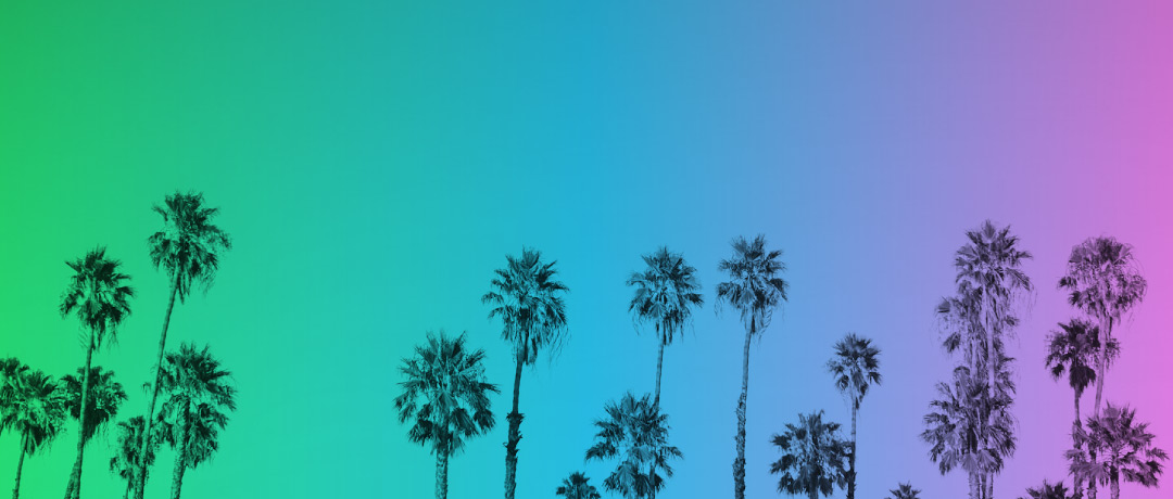 summer-schedule